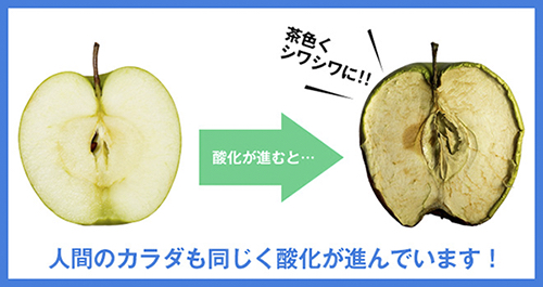 リンゴの酸化